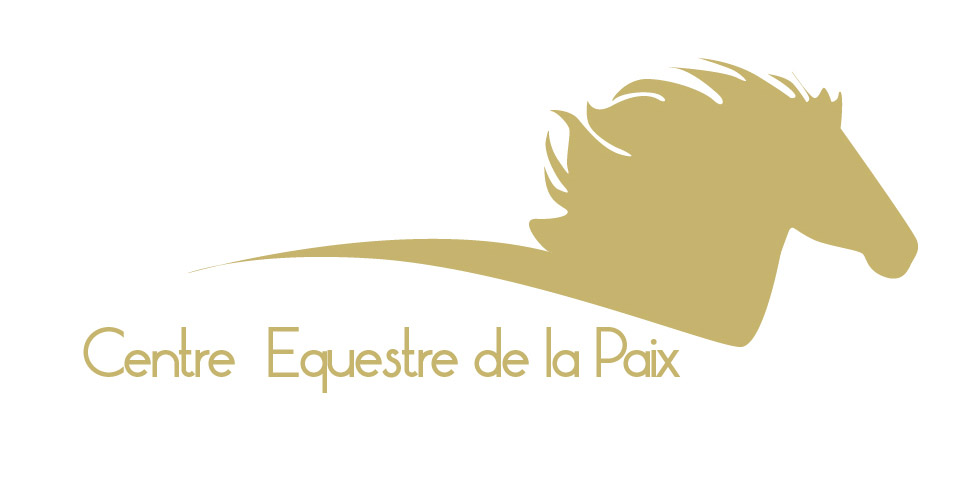 logo centre équestre avec une silhouette de cheval de profil couleur dorée